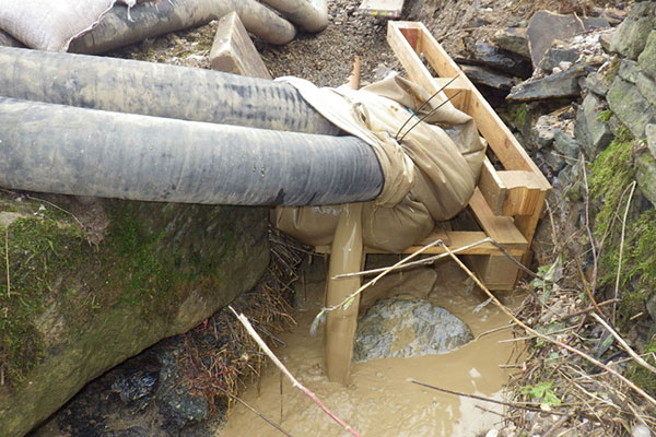 Mitigation efforts failed. Photograph: Environment Agency