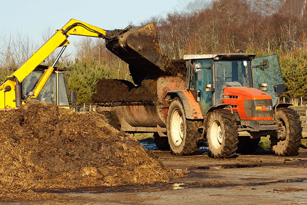Organic manures must not be applied or stored within ten metres of any inland freshwaters. Photograph: Stocksolutions/123RF