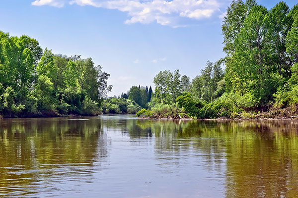 Impacts on natural capital assets needs factoring into investments, say experts. Photograph: Sergey Belov/123RF