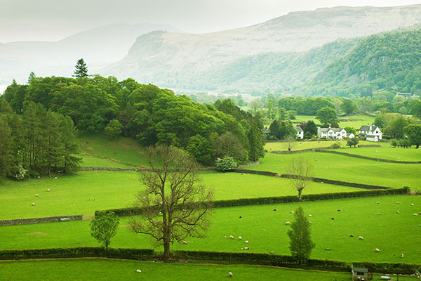DEFRA wants to improve uptake of agri-environment schemes. Photograph: 123RF