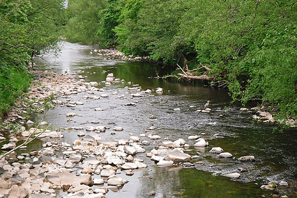 The River Caldew near Buckabank. Photograph: Rose and Trev Clough/Geograph