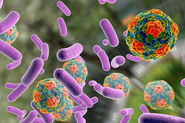 3D illustration of bacteria. Photograph: Kateryna Kon/123RF