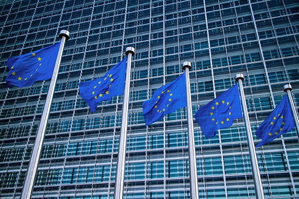 EU flags outside European Commission building. Photograph: Iaroslav Danylchenko/123RF