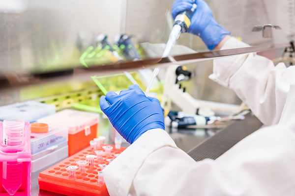 Scientist pipetting substance into test tubes. Photograph: Sinitar/123RF