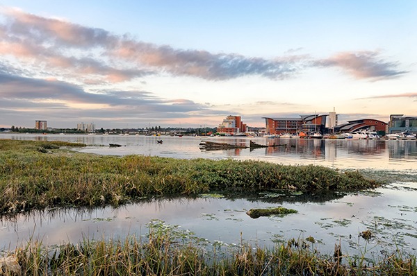 Salt marshes at Poole, Dorset. Photograph: Helen Hotson/123RF