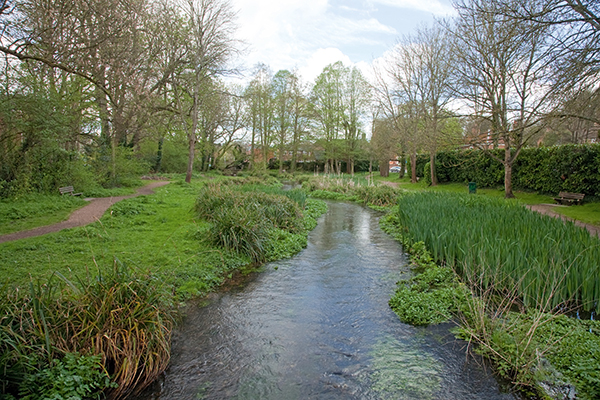 Chess Meads water gardens, River Misbourne