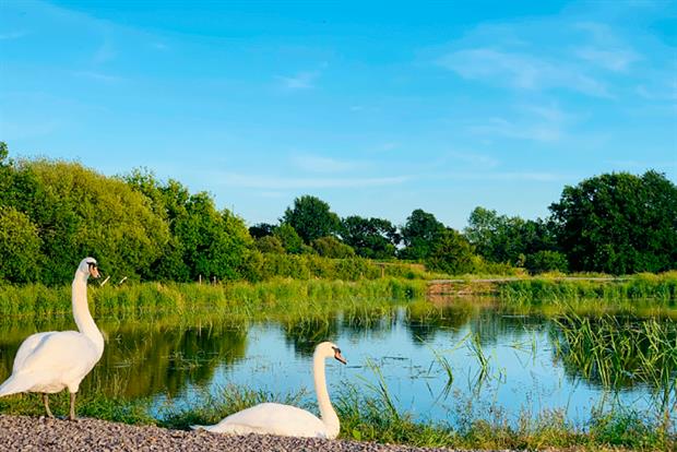 Cromhall wetlands