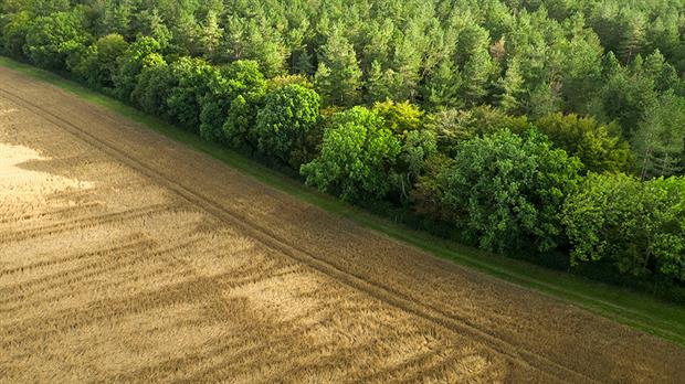 Jordans Farm Partnership provides financial incentives for 31 supplying farmers to manage at least 10% of the land they farm as habitats for wildlife
