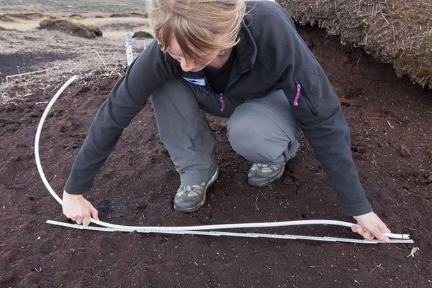 Some of the datasets from the Moors for the Future monitoring sites go back 15 years. Photograph: Moors for the Future Partnership