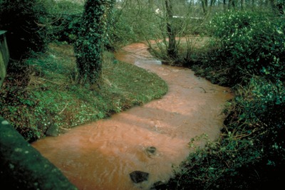 Silted-up river, from SEPA