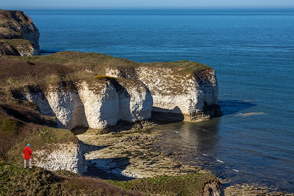 Sea cliffs at Flamborough Head, North Yorkshire coast