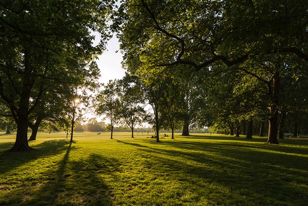 The government’s projected build of 300,000 houses a year would require the equivalent of about 40 Hyde Parks in biodiversity offsets . Photograph: EyeEm/Getty Images