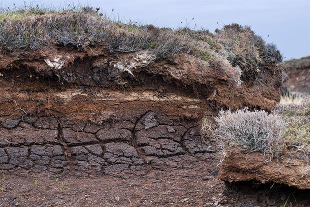 Rotational burning on peatlands may be releasing up to 260,000 tonnes of CO2 every year. Photograph: Arterra/Getty Images