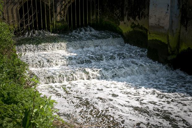 Water companies need to reduce sewage pollution. Photograph: Robert Brook/Science Photo Library/Getty Images