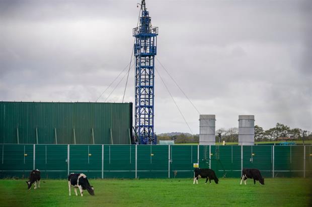 Cattle graze next to the Preston New Road drill site, where fracking has been suspended after it triggered a 2.9 magnitude earthquake. Image: Christopher Furlong / Getty Images