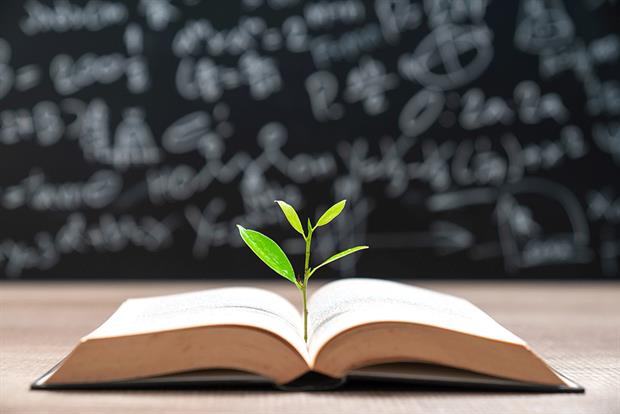 Are legal nature protections worth the paper they’re written on? Photograph: Witthaya Prasongsin/Getty Images