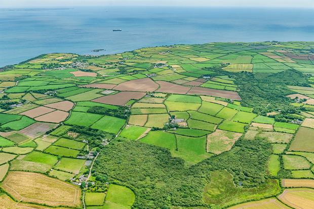 Cornwall: the county council was an early adopter of biodiversity net gain. Photograph: Getty Images