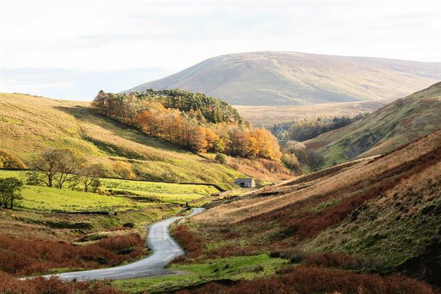 Green groups say that many AONBs are severely depleted of wildlife. Photograph: Maureen Bracewell/Getty Images