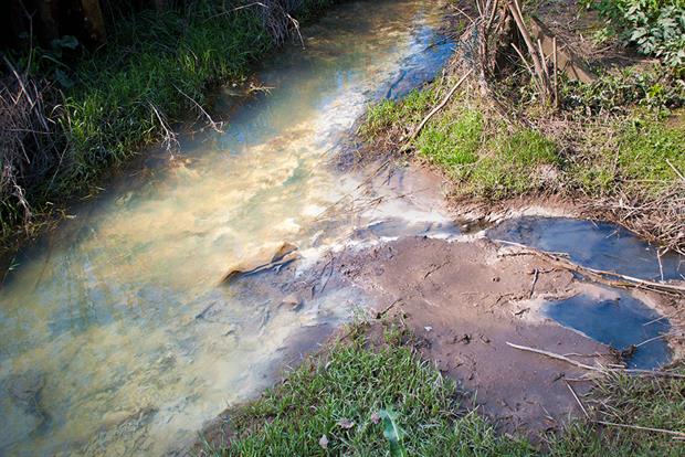 Water quality targets will eventually sit alongside goals on air quality, nature and waste. Photograph: Robert Brook/Science Photo Library/Getty Images