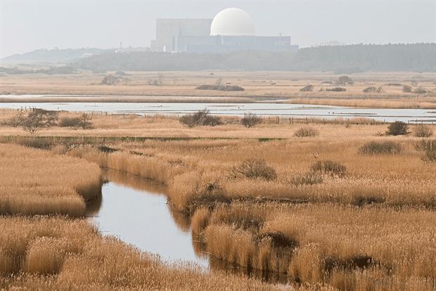 Sizewell: EDF Energy says the development of its proposed Sizewell C nuclear reactor will lead to a 19% biodiversity net gain. Photograph: Education Images/Getty Images