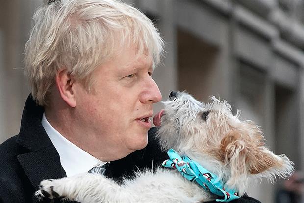 Will government neuter the green watchdog? Photograph: Christopher Furlong/Getty Images