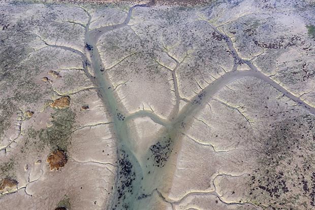 Solent: projects aim to mitigate increases in nitrates associated with new housing (Photograph: Chris Gorman/Getty Images)