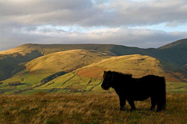 Critics say national parks do not protect biodiversity. Photograph: David Conniss/Getty Images