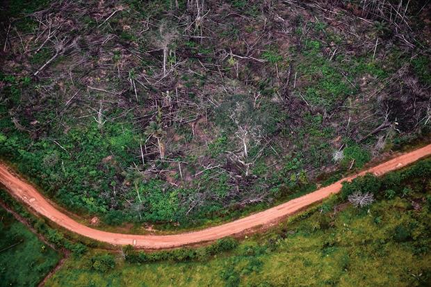 Illegal deforestation at a national park in La Macarena, Colombia. Photograph: Jake Wyman/Getty Images