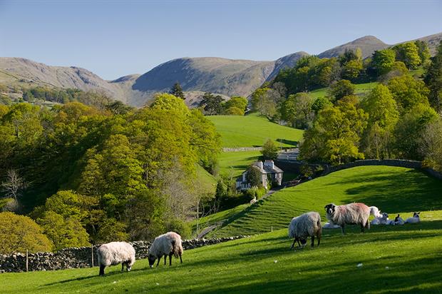 A planned environmental land management scheme is among the strategies that are being delayed by the pandemic. Photograph: Tonywestphoto/Getty Images