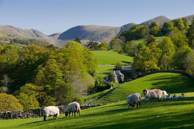 Trade deals should not undermine the UK's green standards, say farmers and green groups. Photograph: Tonywestphoto/Getty Images