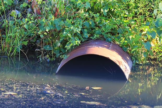 The battle over sewage pollution is far from over. Photograph: Douglas Sacha/Getty Images