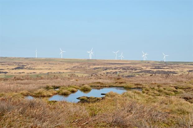 A total of 280,000 hectares of degraded peatland will be restored as part of the Net Zero Strategy - almost twice the size of Greater London. Photograph: Philip Openshaw / Getty Images