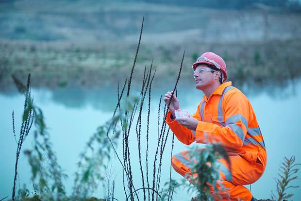 Ecologists responding to a recent survey said they had little new work coming in. Photograph: Monty Rakusen/Getty Images