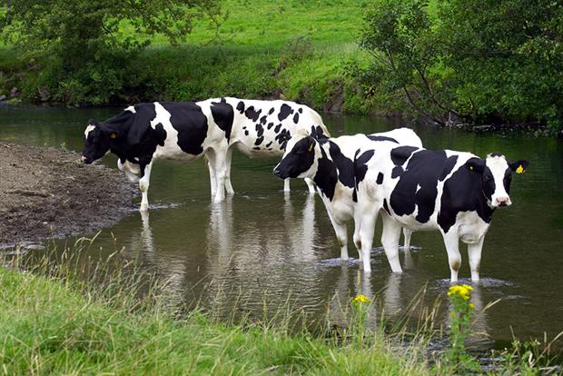 Agriculture has the widest impact on water pollution. Photograph: Chris Crafter/Getty Images