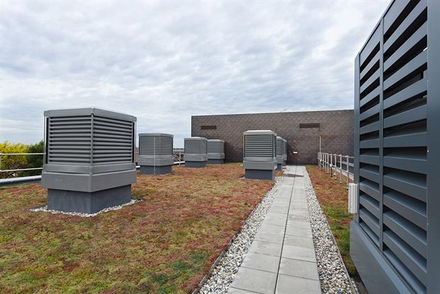 Green roofs may soon become the norm across Europe. Photograph: Loop Images/Getty Images