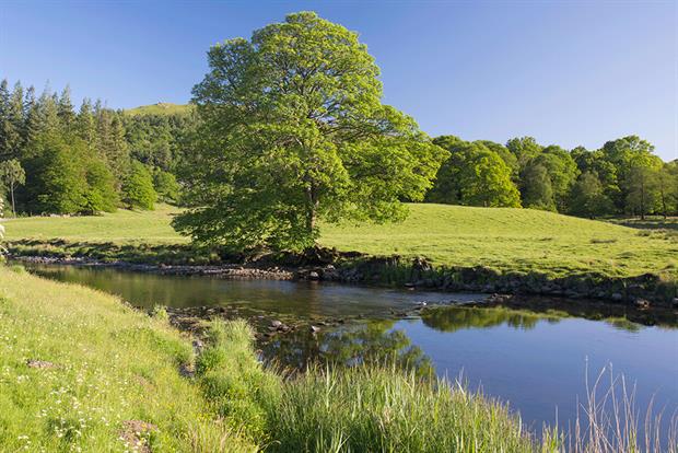 Bevan signalled a “thoughtful reform” of the Water Framework Directive. (River Brathay, Elterwater, Lake District National Park). Photograph: David C Tomlinson/Getty Images