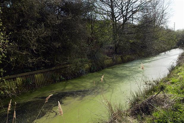 All of England's rivers and lakes have failed to meet legal water quality standards. Photograph: Construction Photography/Avalon/Getty Images
