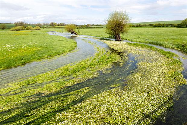 River Till seasonal chalk stream known as a winterbourne, Winterbourne Stoke, Wiltshire. Photograph: Geography Photos/Getty Images
