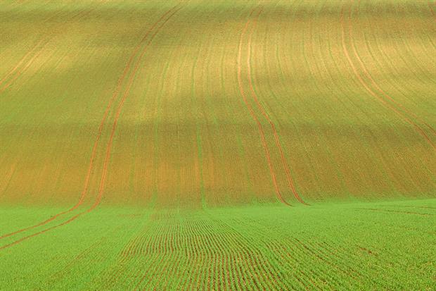 Rural subsidies: new system based on nature benefits rather than farm size. Photograph: Tim Graham/Getty Images