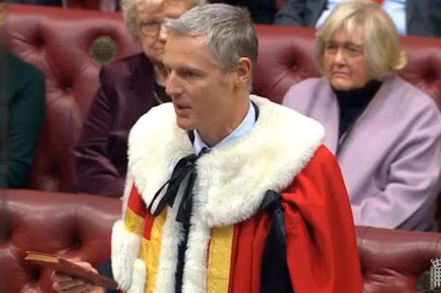Goldsmith said any peers thinking of delaying the introduction of the environment bill ‘to embarrass the government should think again’. Photograph: Parliament TV