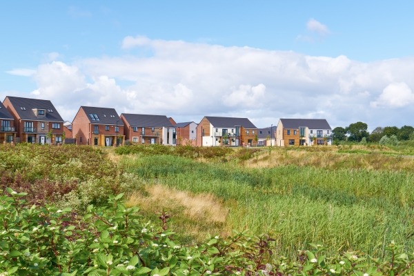 Houses by scrubland