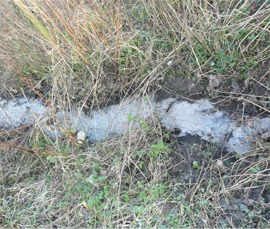 Stream pollution by the Yew Tree Inn