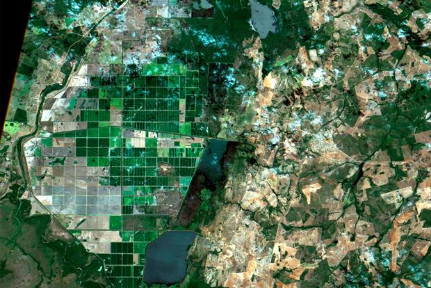 Deforestation may be accelerating again in some areas such as in Brazil where satellite imagery shows on an upward trend. Photograph: Coordenação-Geral de Observação da Terra/INPE/Wikimedia