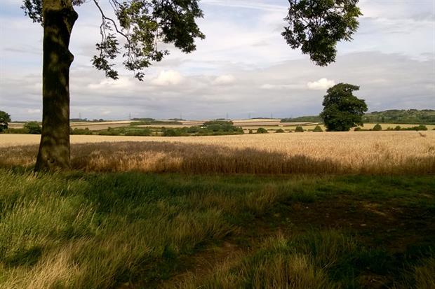 The site where the road is set to be built. Photograph: Lucy Murfett/Chilterns Conservation Board