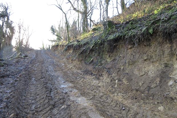 A North Yorkshire farmer illegally built a track across the Newtondale SSSI. Photograph: Natural England