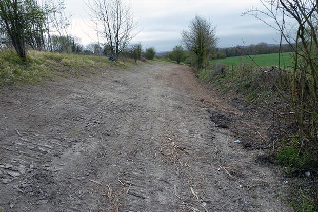 The Roadside Nature Reserve after the drainage works (images copyright Dave Watson, Kent Wildlife Trust)