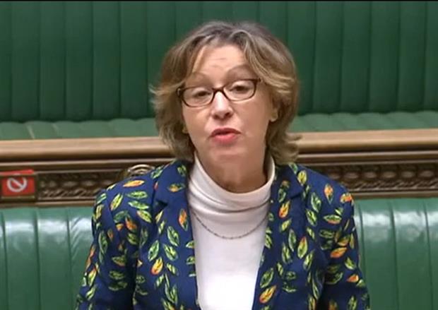 Environment minister Rebecca Pow defended the bill in the Commons yesterday. Photograph: Parliament