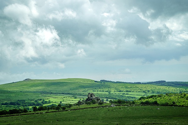 Somerset Levels