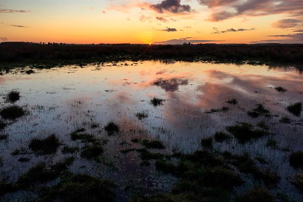 Sun setting over marshland in the Great Fen