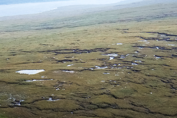Caithness and Sutherland special area of conservation